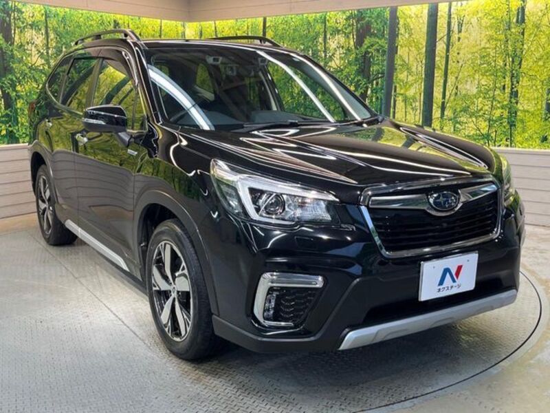 FORESTER