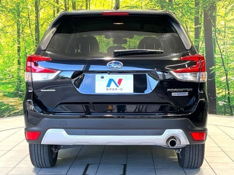 FORESTER