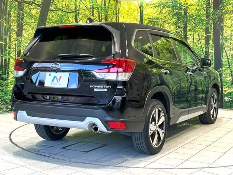 FORESTER