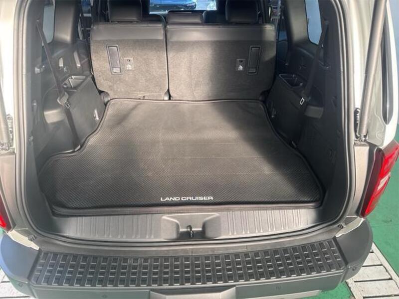LAND CRUISER 250