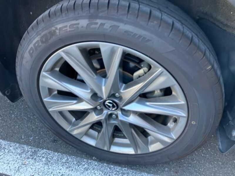 CX-8