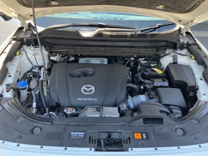 CX-8