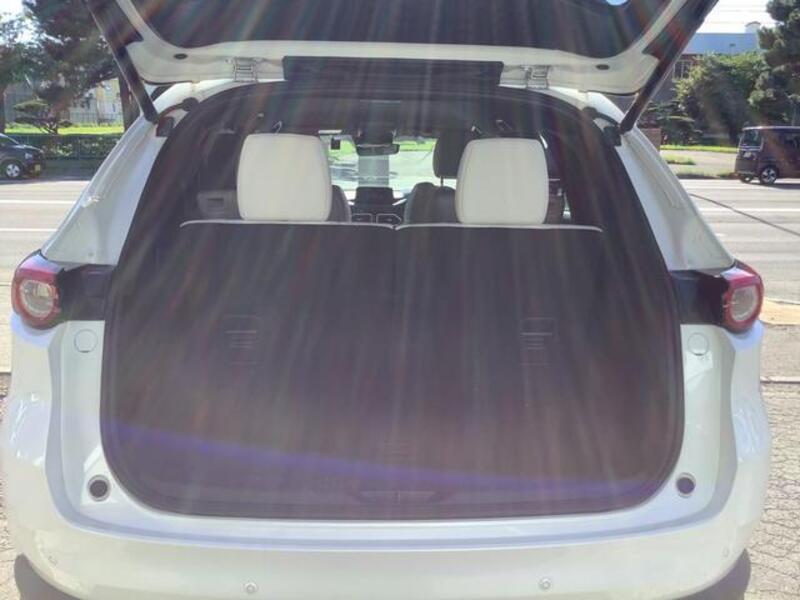 CX-8