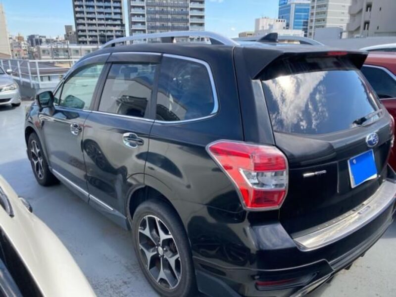 FORESTER