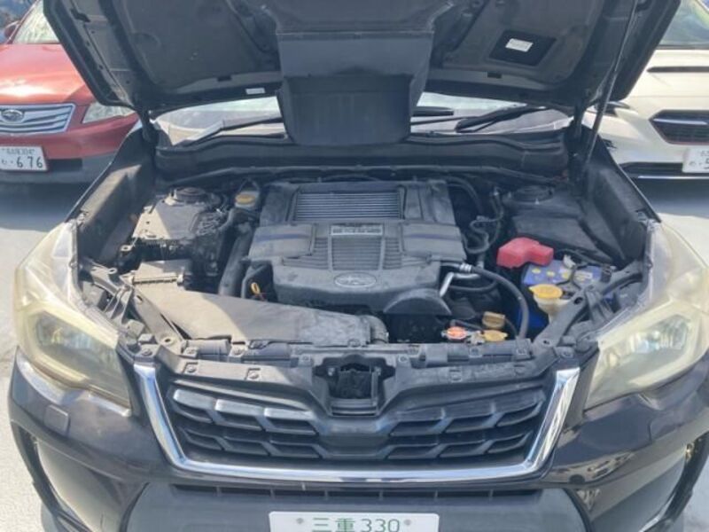 FORESTER