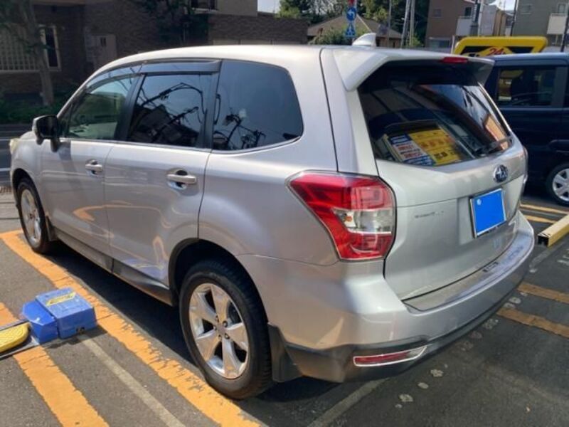 FORESTER