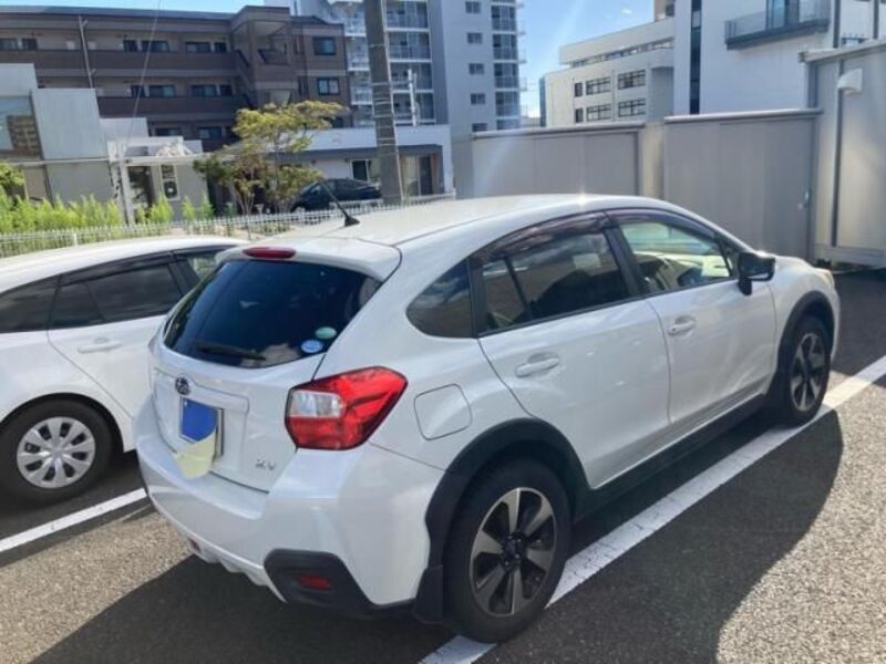 XV