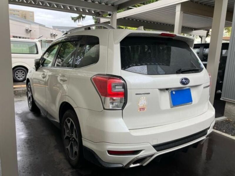 FORESTER
