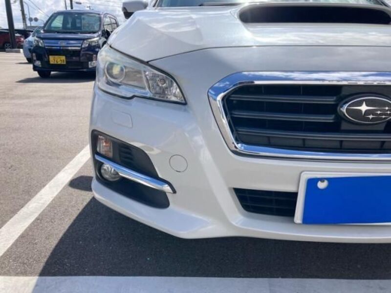 LEVORG