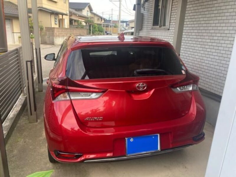 AURIS