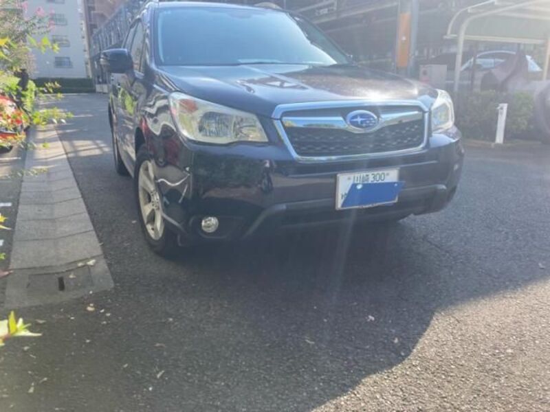 FORESTER
