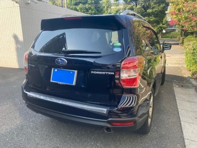 FORESTER