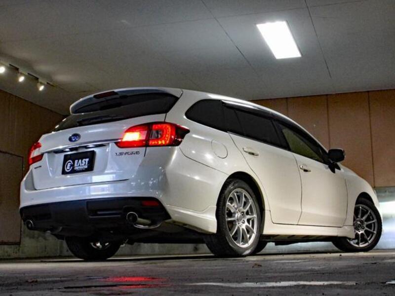 LEVORG