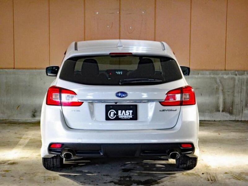 LEVORG