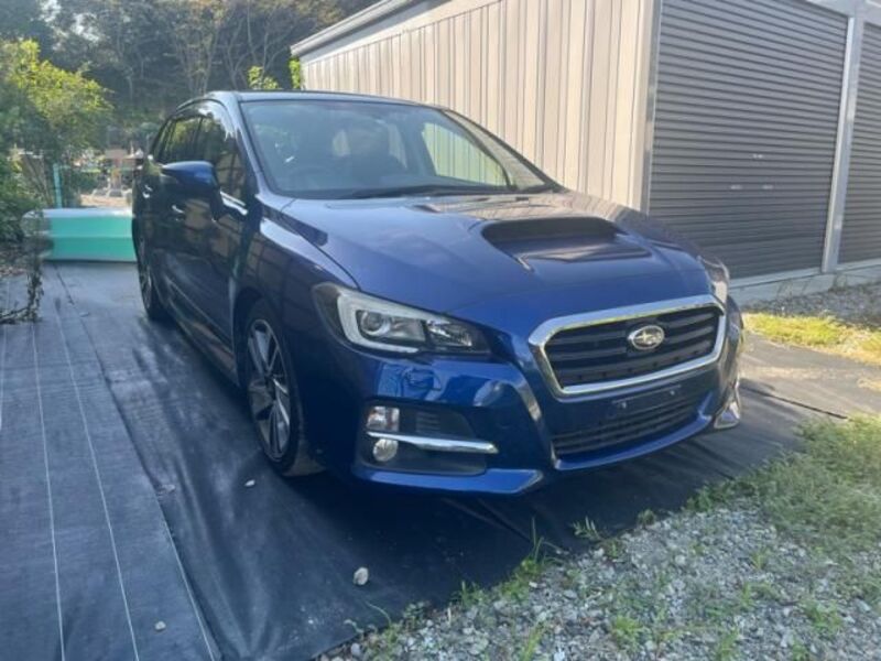 LEVORG-0