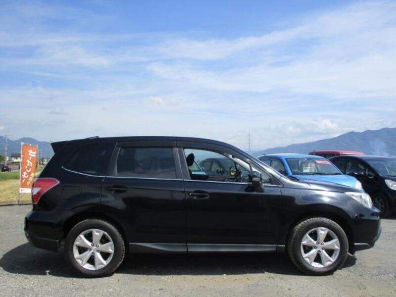 FORESTER