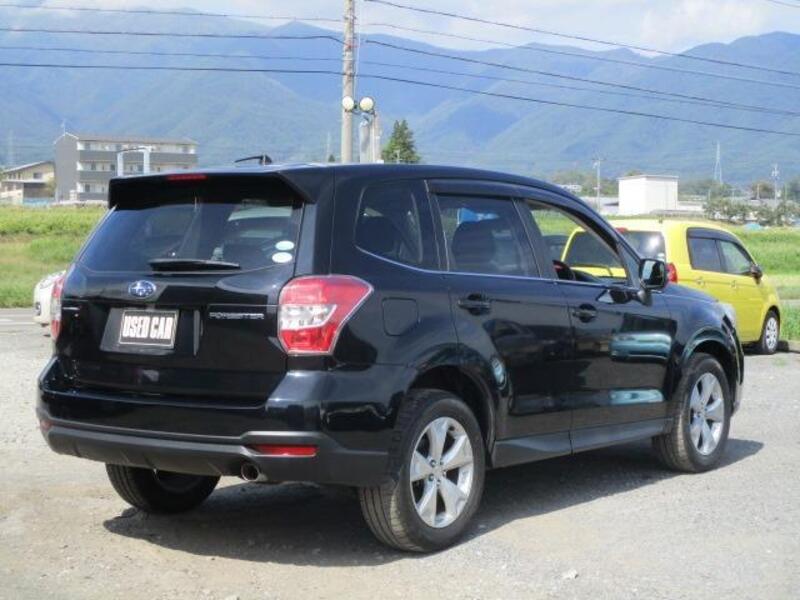 FORESTER