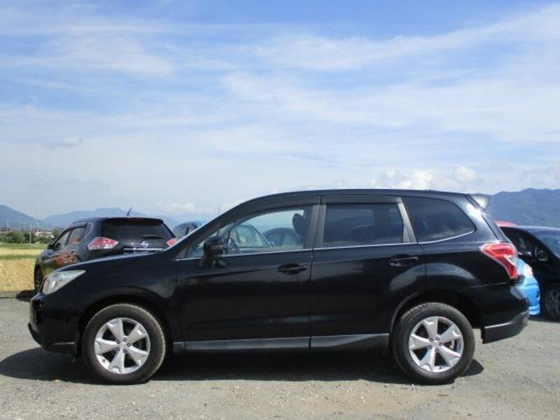 FORESTER