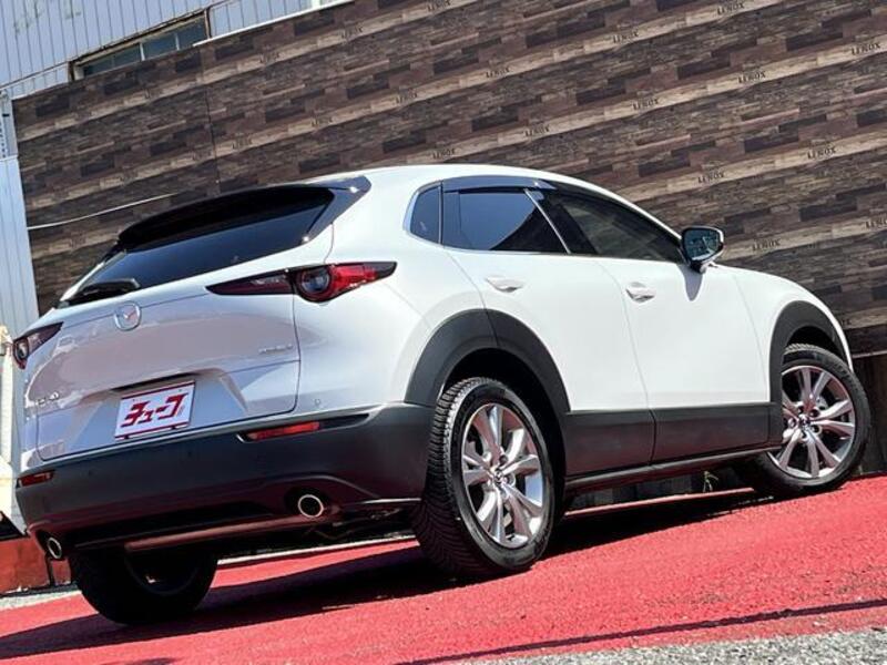 CX-30