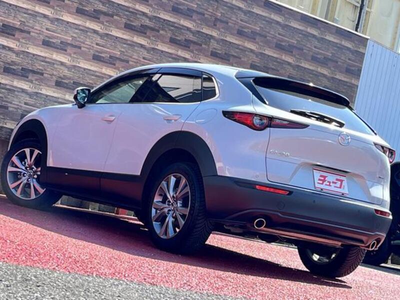 CX-30