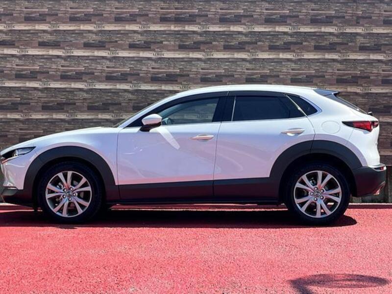 CX-30