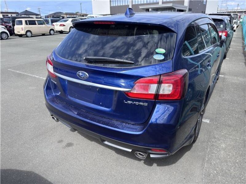 LEVORG