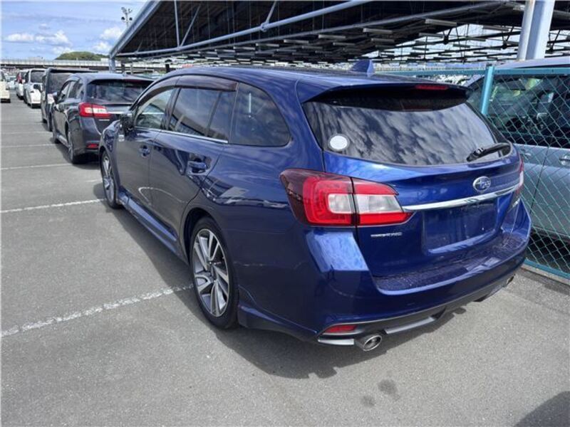LEVORG