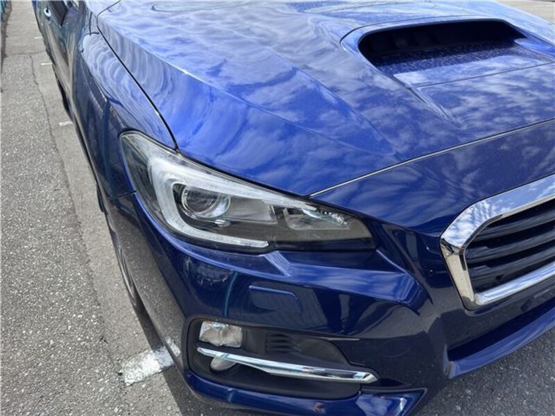 LEVORG