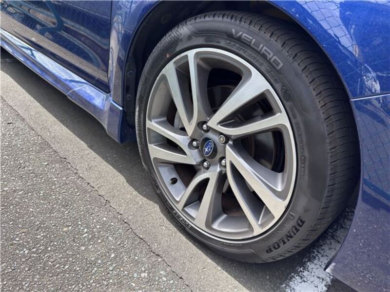 LEVORG