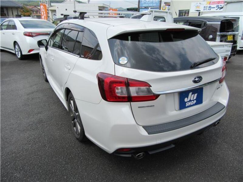 LEVORG