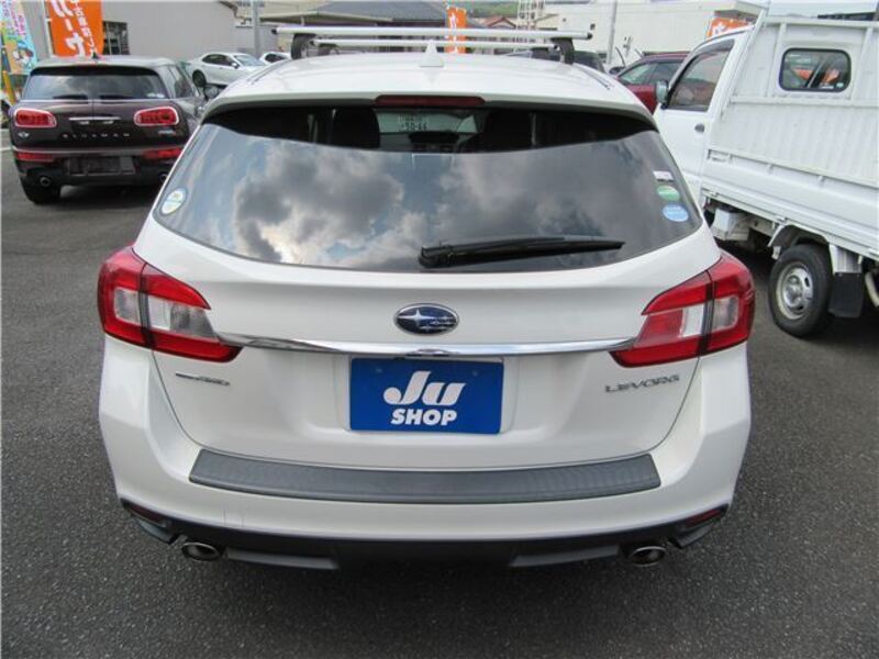 LEVORG