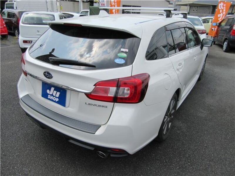 LEVORG