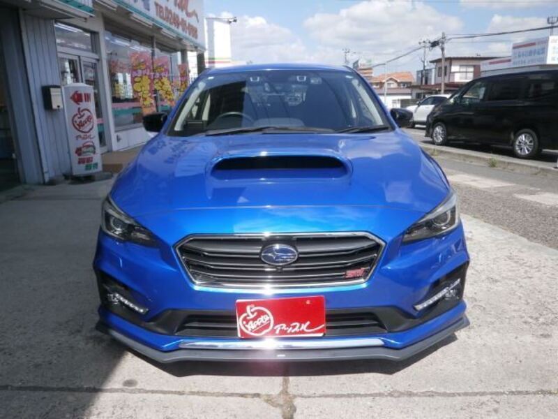 LEVORG