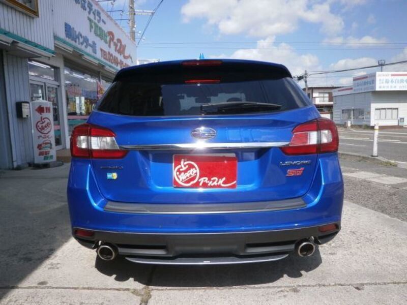 LEVORG
