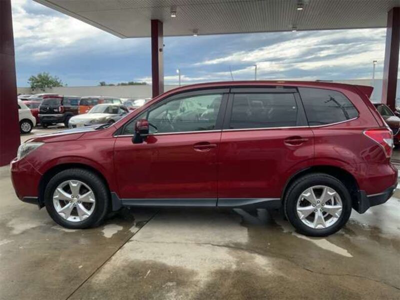 FORESTER