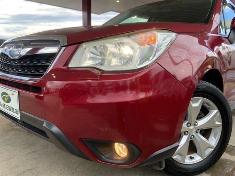 FORESTER