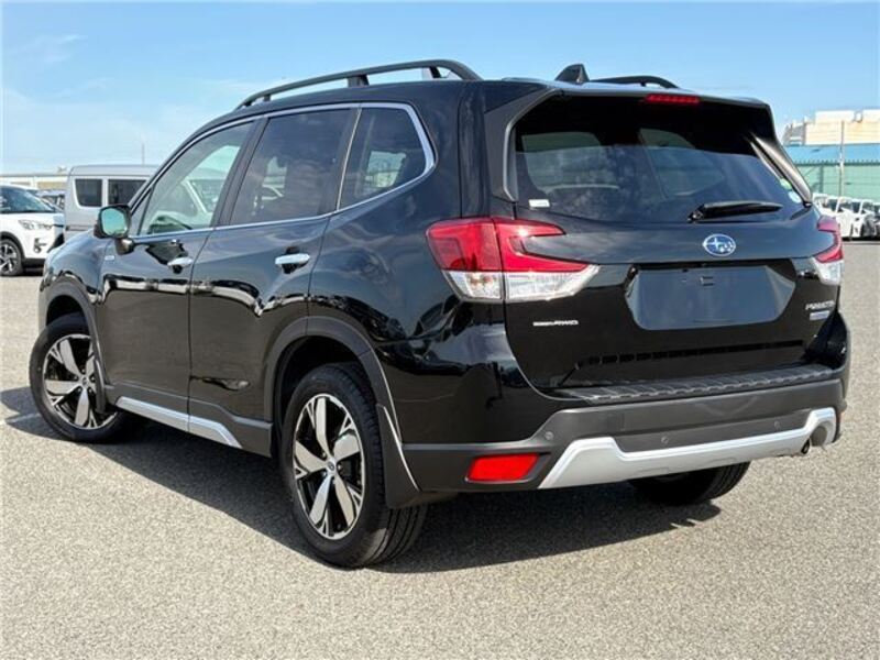 FORESTER