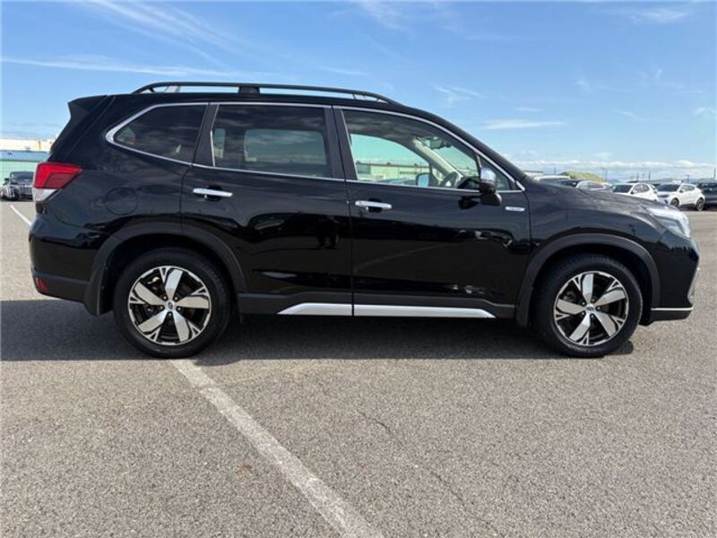 FORESTER