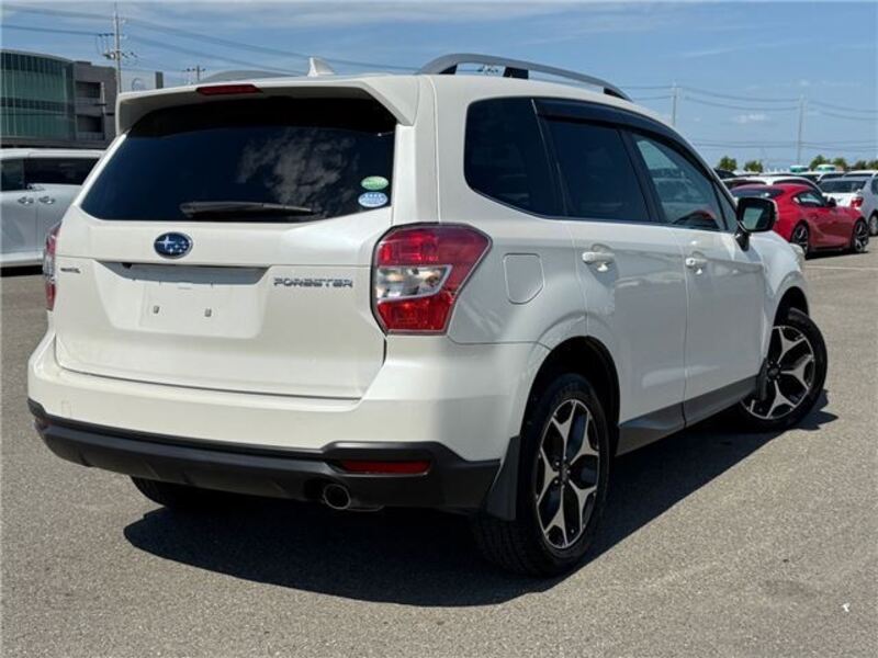FORESTER
