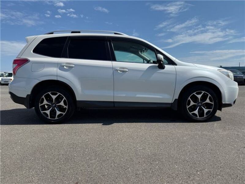 FORESTER
