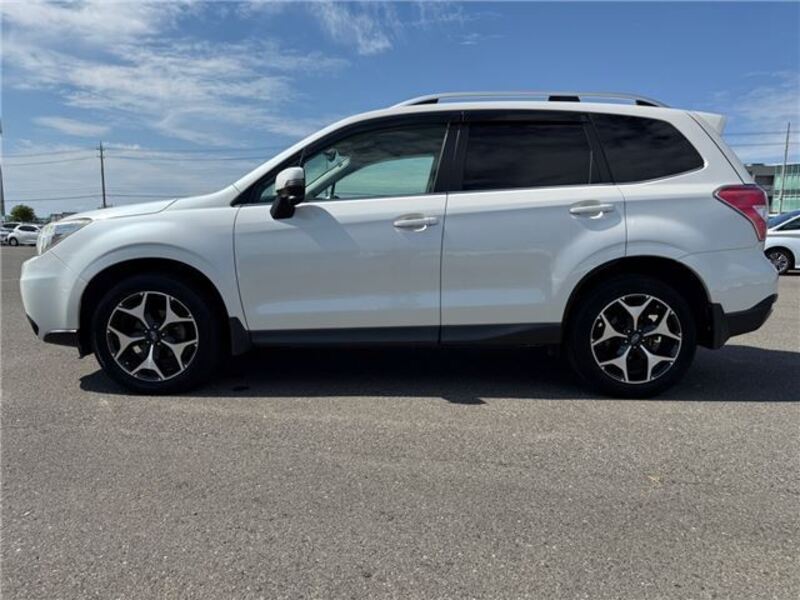 FORESTER