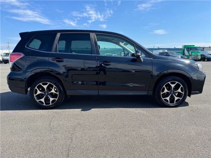 FORESTER