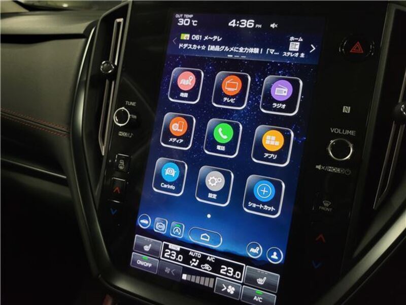 LEVORG