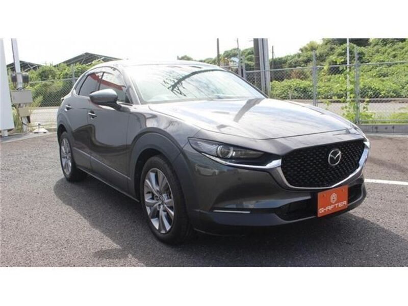 CX-30