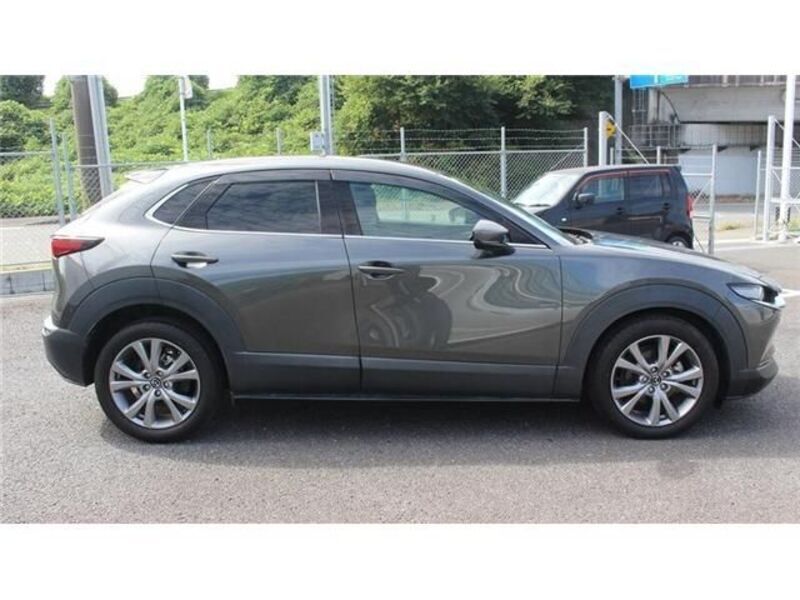 CX-30