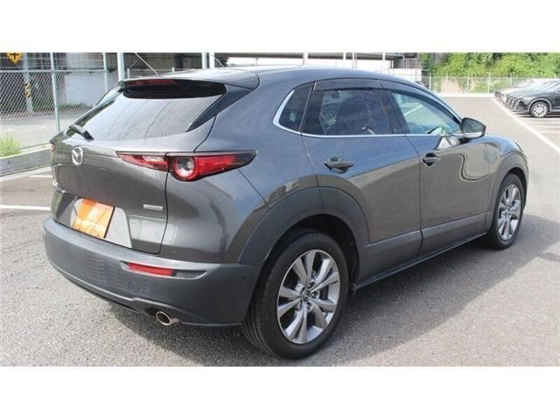 CX-30