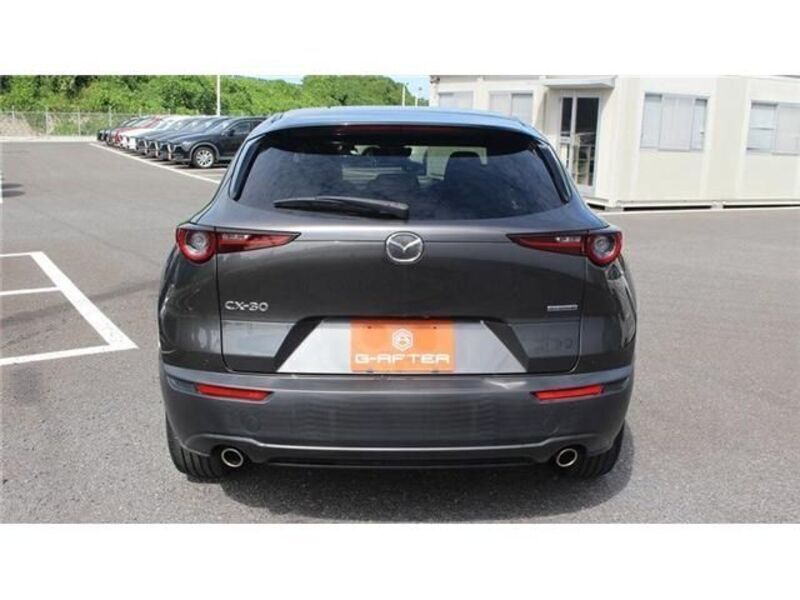 CX-30