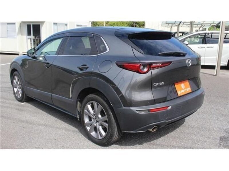 CX-30