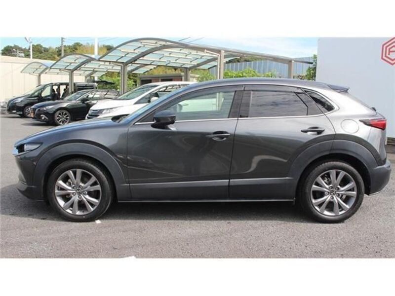 CX-30