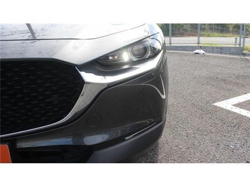 CX-30
